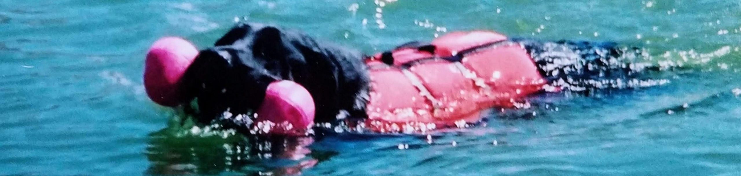 Skip Thomas loved a good splash at Stansbury Park Lake in Utah