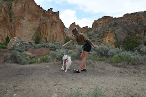 Katie’s Clever Canines place picture