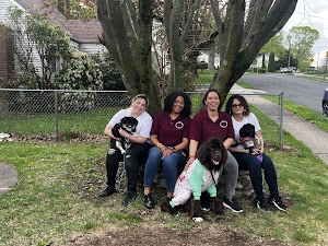 Your 4 Legged Pet Service LLC place picture