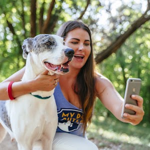 Houston Dog Butler place picture