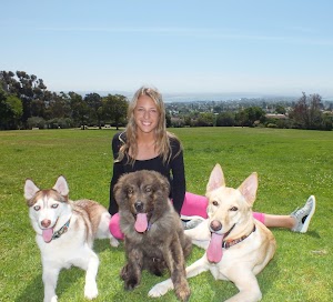 All Things Pups® place picture