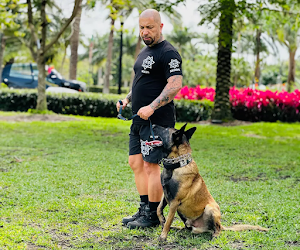K9 Specialist Inc. place picture
