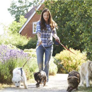 Lady Dog Walker 860x540
