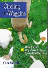 dog whosaved me small