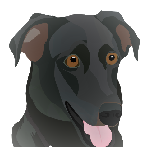 brighter dog