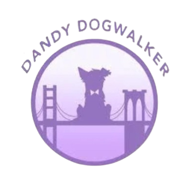 dandydogwalker__1_-removebg-preview