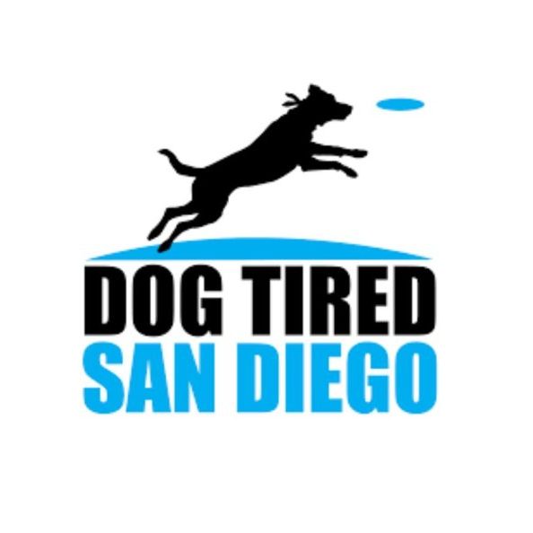 dog gone - 270 × 186px - Google Chrome 2024-11-06 at 6.34.40 PM
