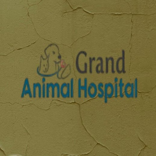 grand105