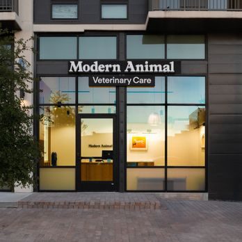 modern animal