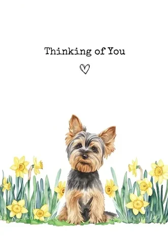 one good dog