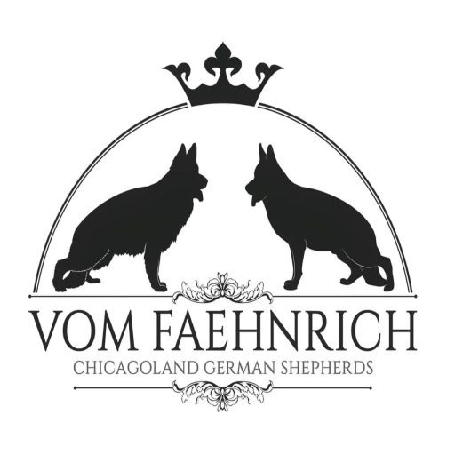 vom201